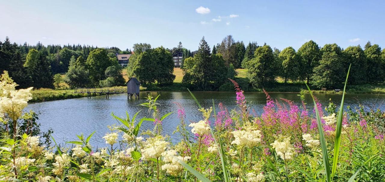 Bergliebe Apartman Goslar Kültér fotó